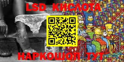 шишки Камышлов