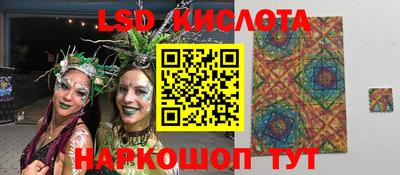 шишки Камышлов