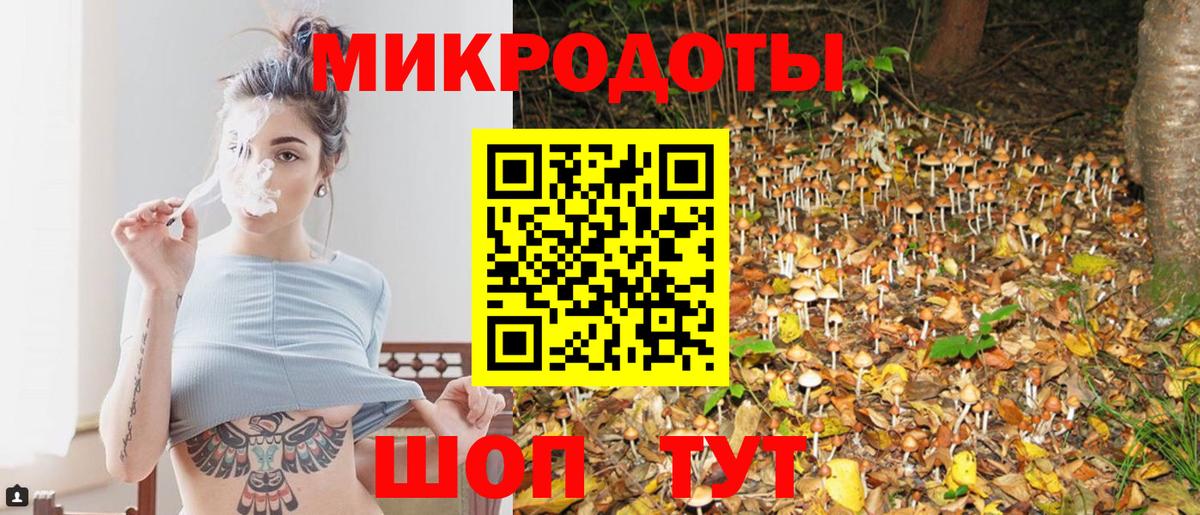наркотики  Вход с VPN  Галлюциногенные грибы Psilocybe  Минеральные Воды  Псилоцибиновые грибы мицелий 