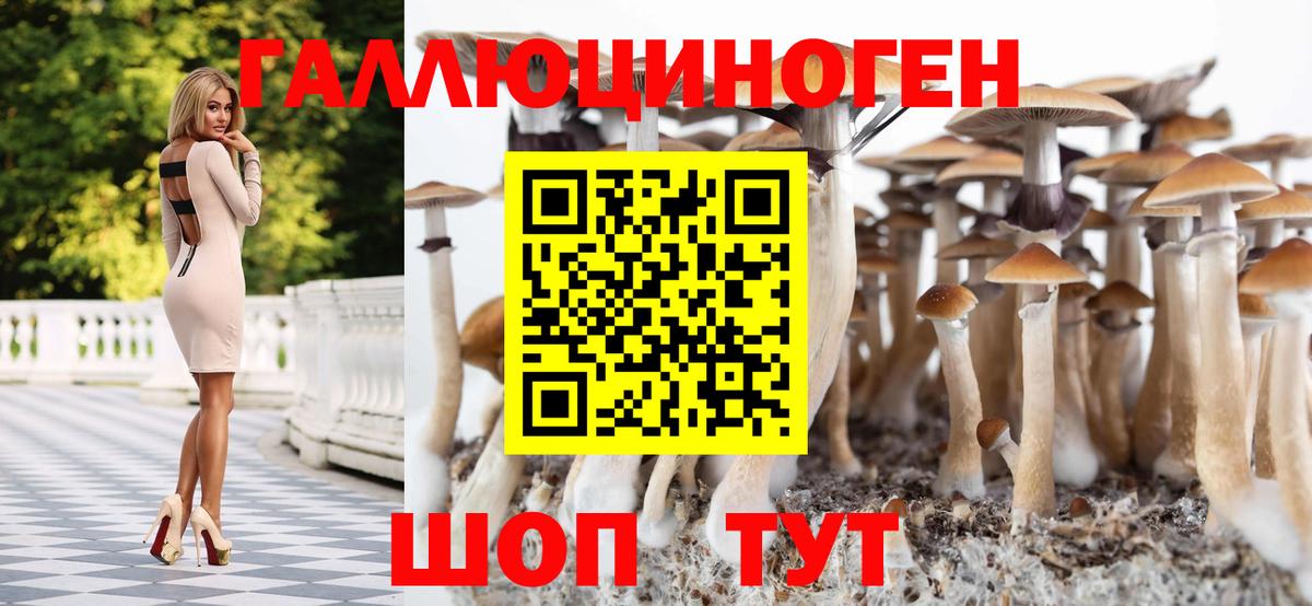 Галлюциногенные грибы Cubensis Минеральные Воды