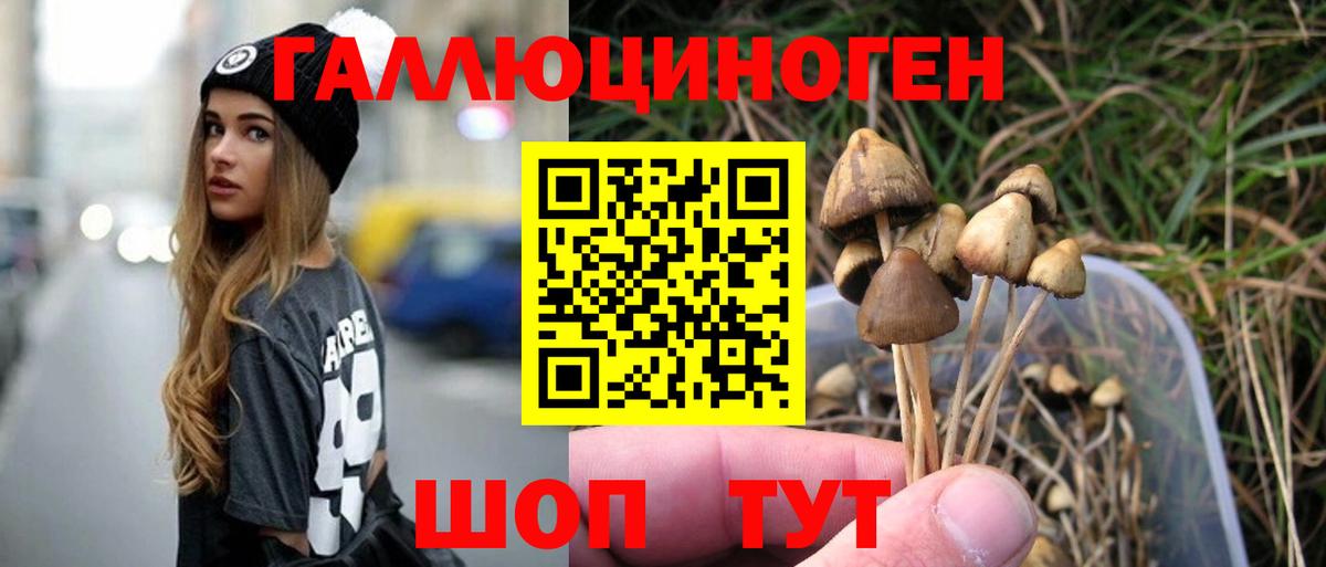 Псилоцибиновые грибы Psilocybine cubensis  где можно купить наркотик  Минеральные Воды  Псилоцибиновые грибы Psilocybe 